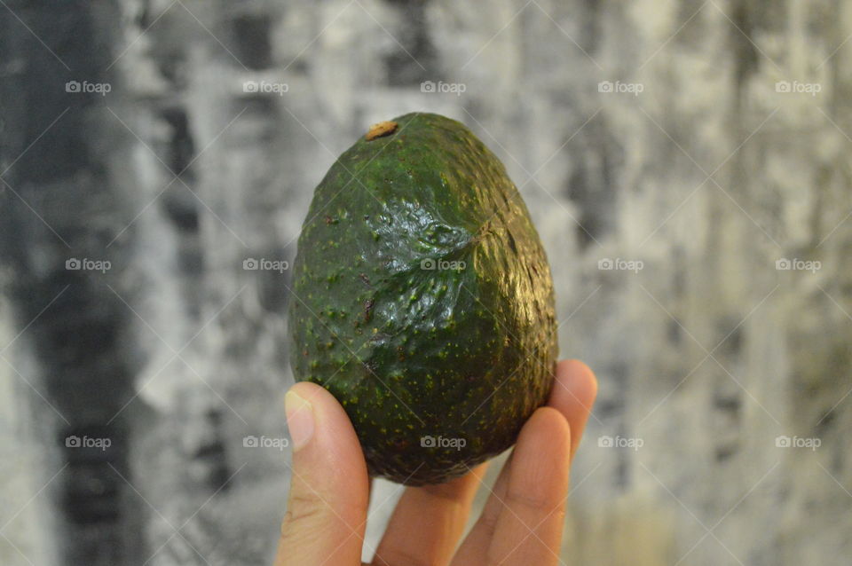 Avocado still 