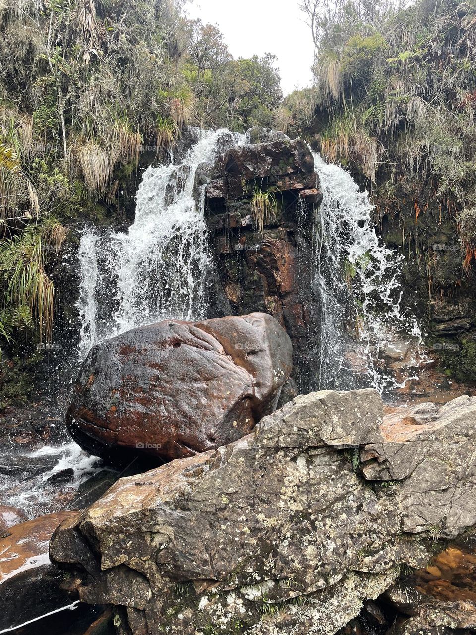 Páramo waterfall