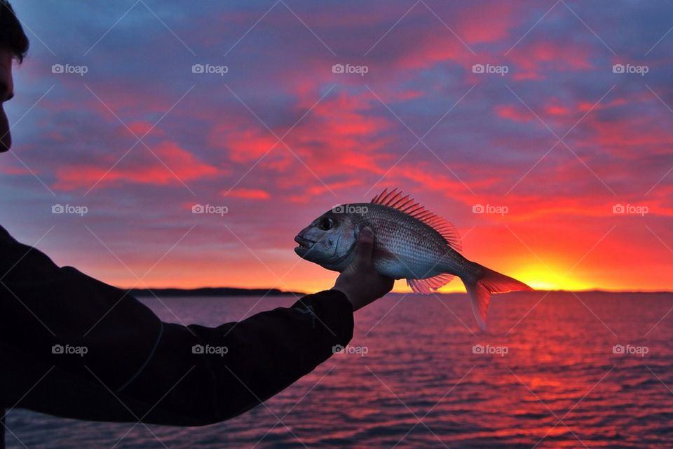 Fresh caught snapper