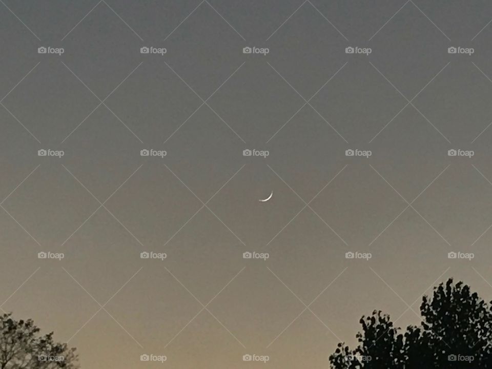 Crescent captured during sundown with clear sky. . .