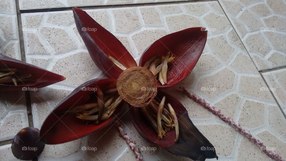 flor de bananeira glora brasileira