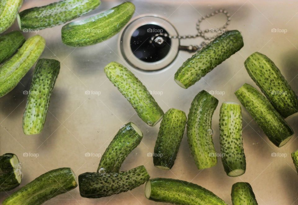 Green cucumber in the water of sink