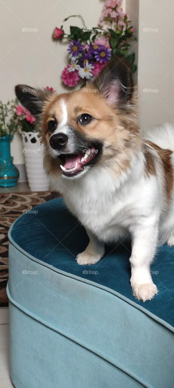 Her smile is killing me :))