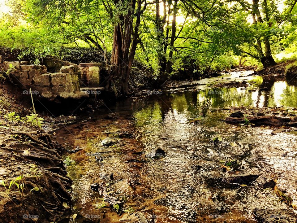 Old stone steps down by the river 