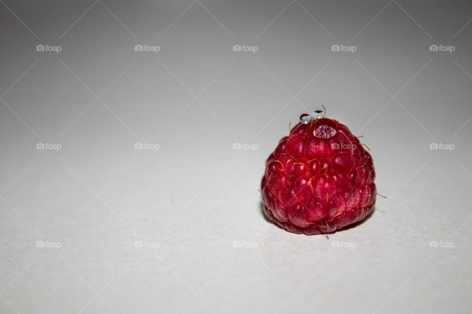 Raspberry on White background