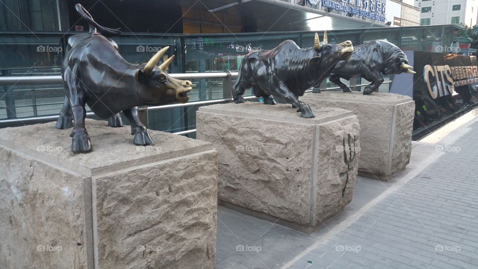 Bull Sculptures