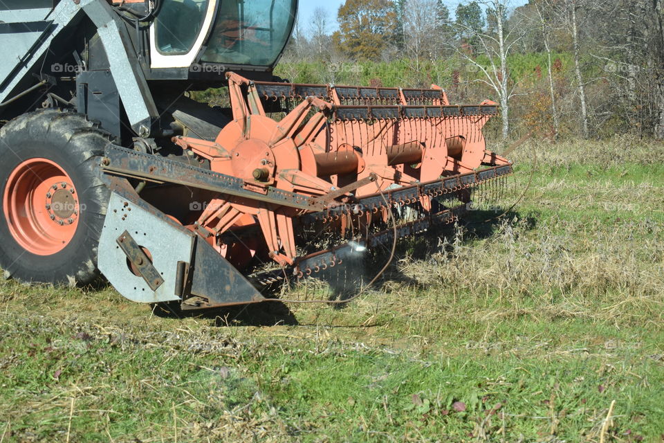 combine harvesting soybeans