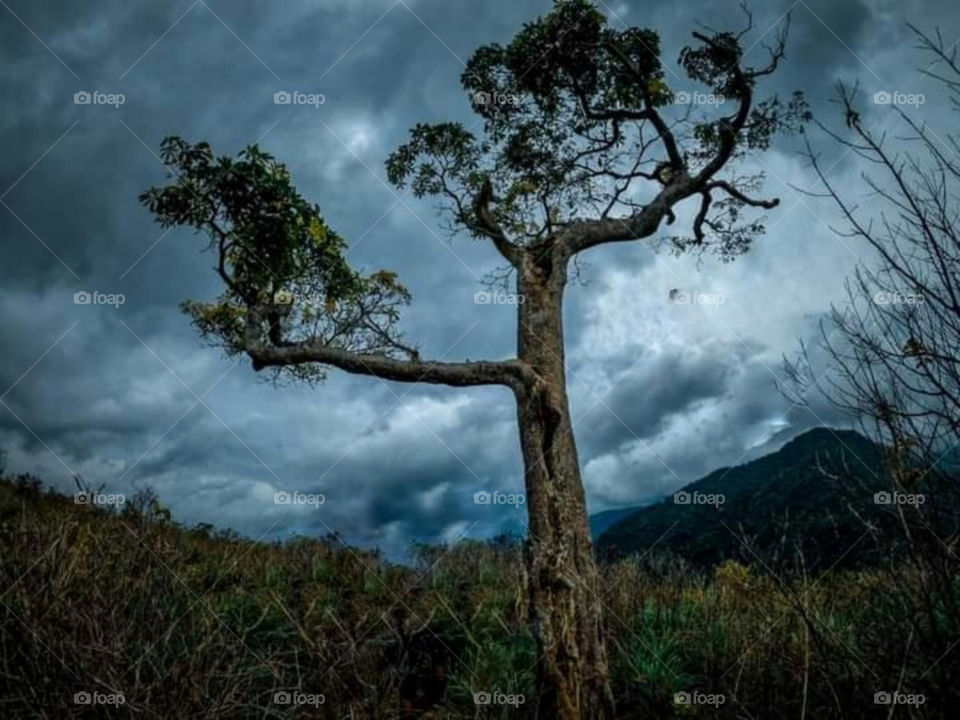 wonder of the evening