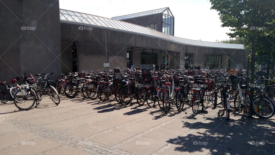 The Danes really love their bicycles!