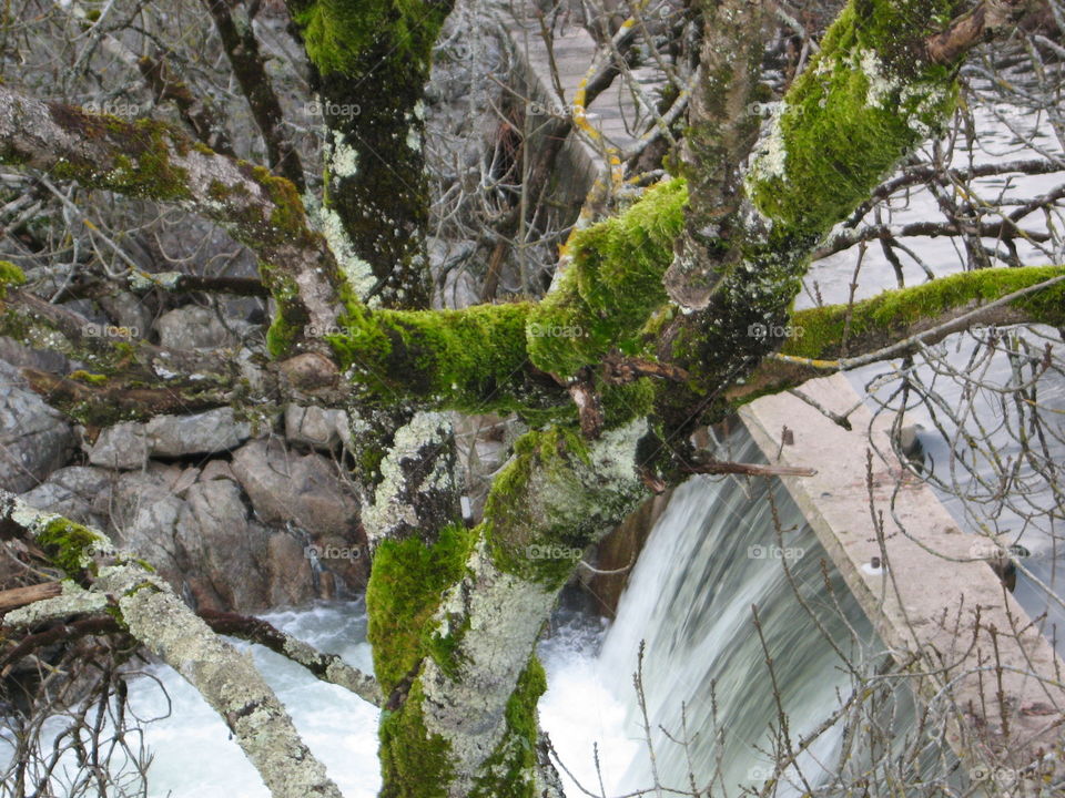 Water, trees and nature! 🌿