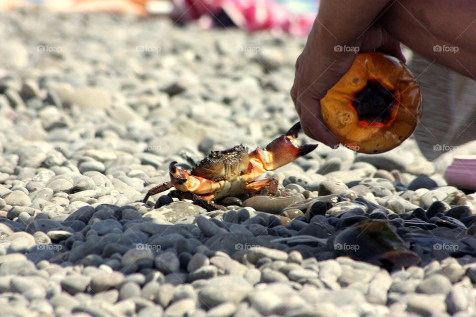 One, Outdoors, Water, Beach, People