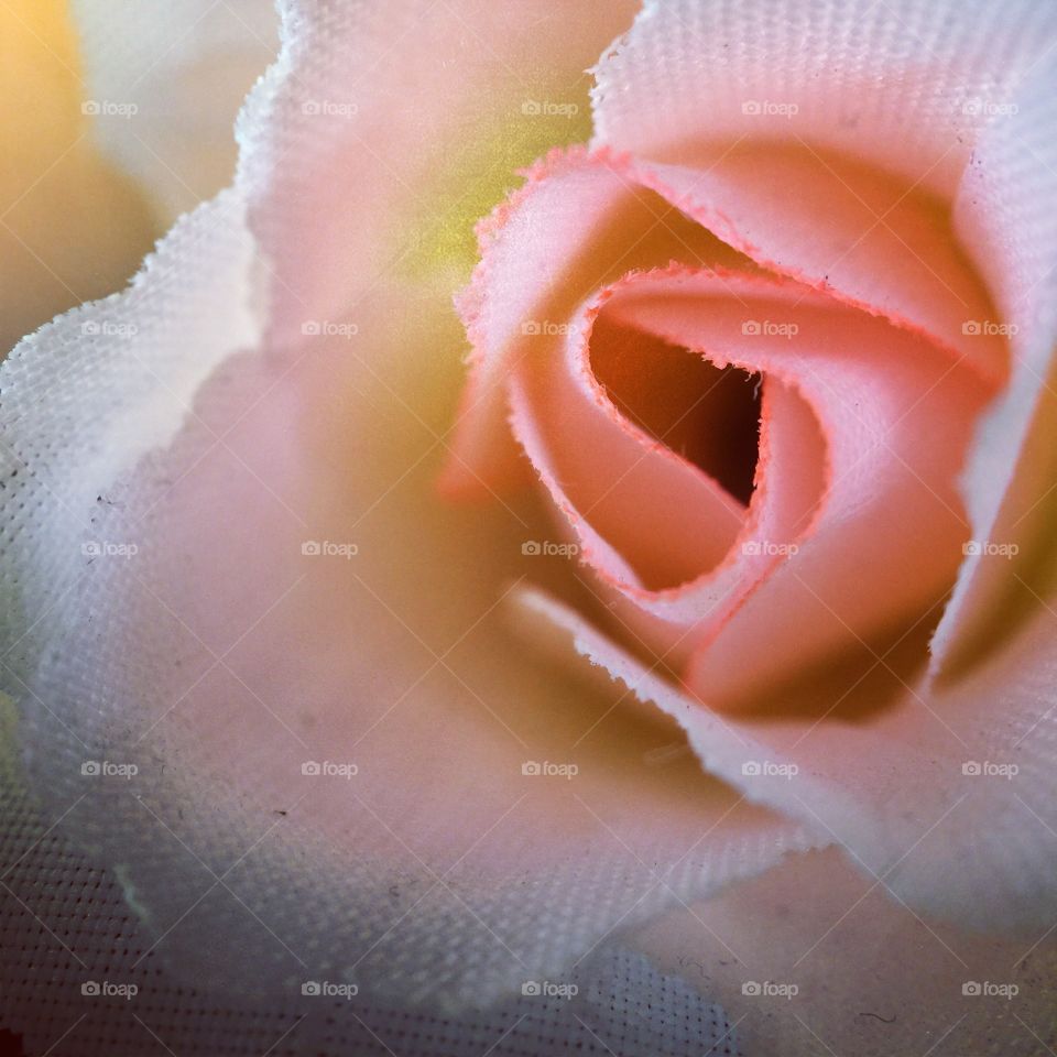 Close-up of artificial rose
