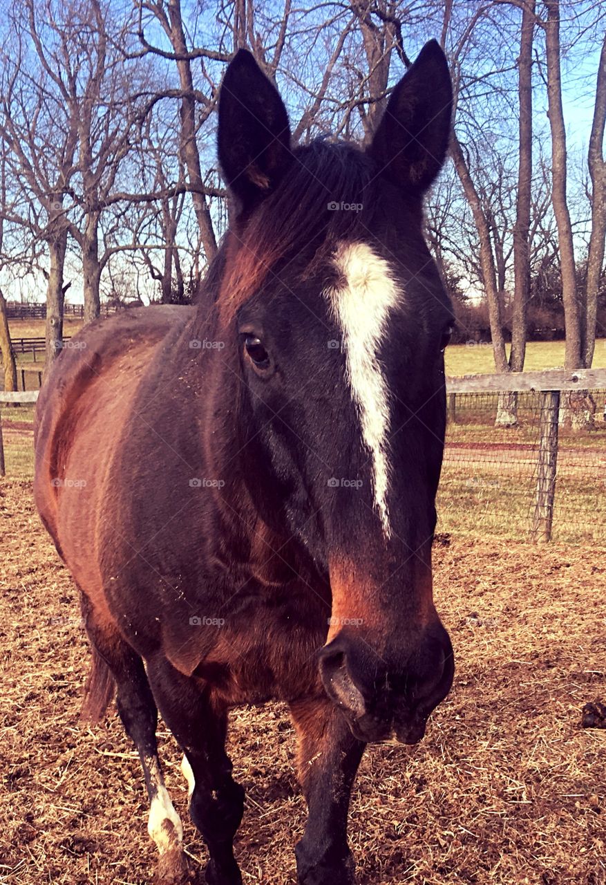 Wait for me food lady!