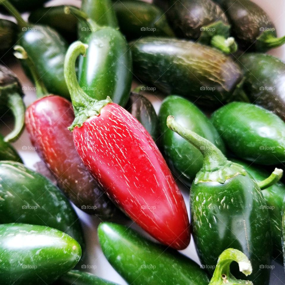 Red Jalapeno Pepper