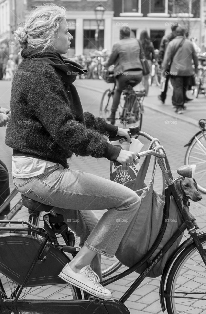 Dutch woman and dog on bike 