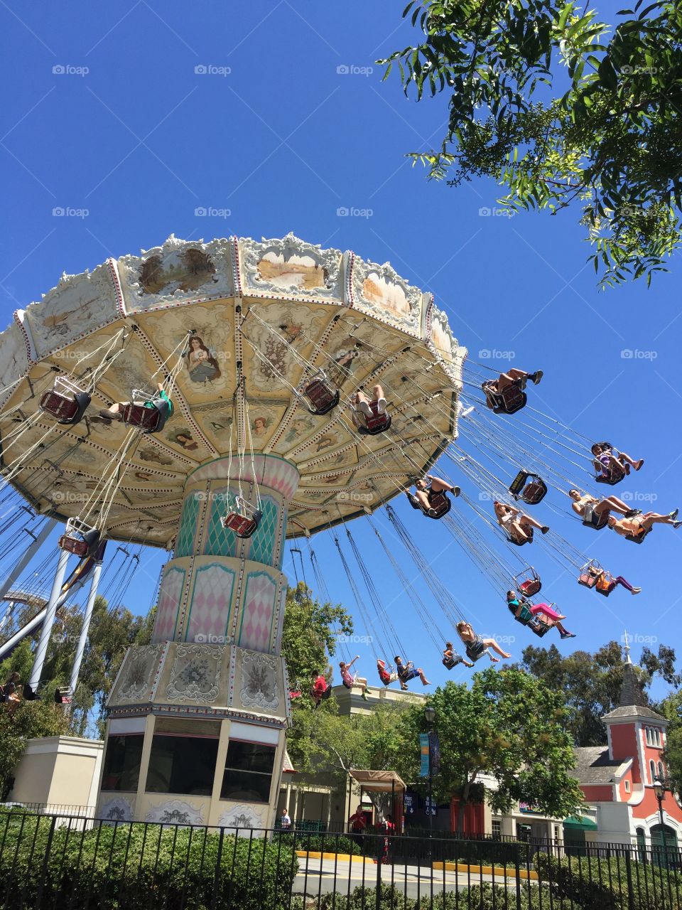 Swings. At great America park