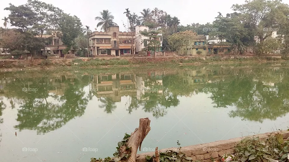 pond