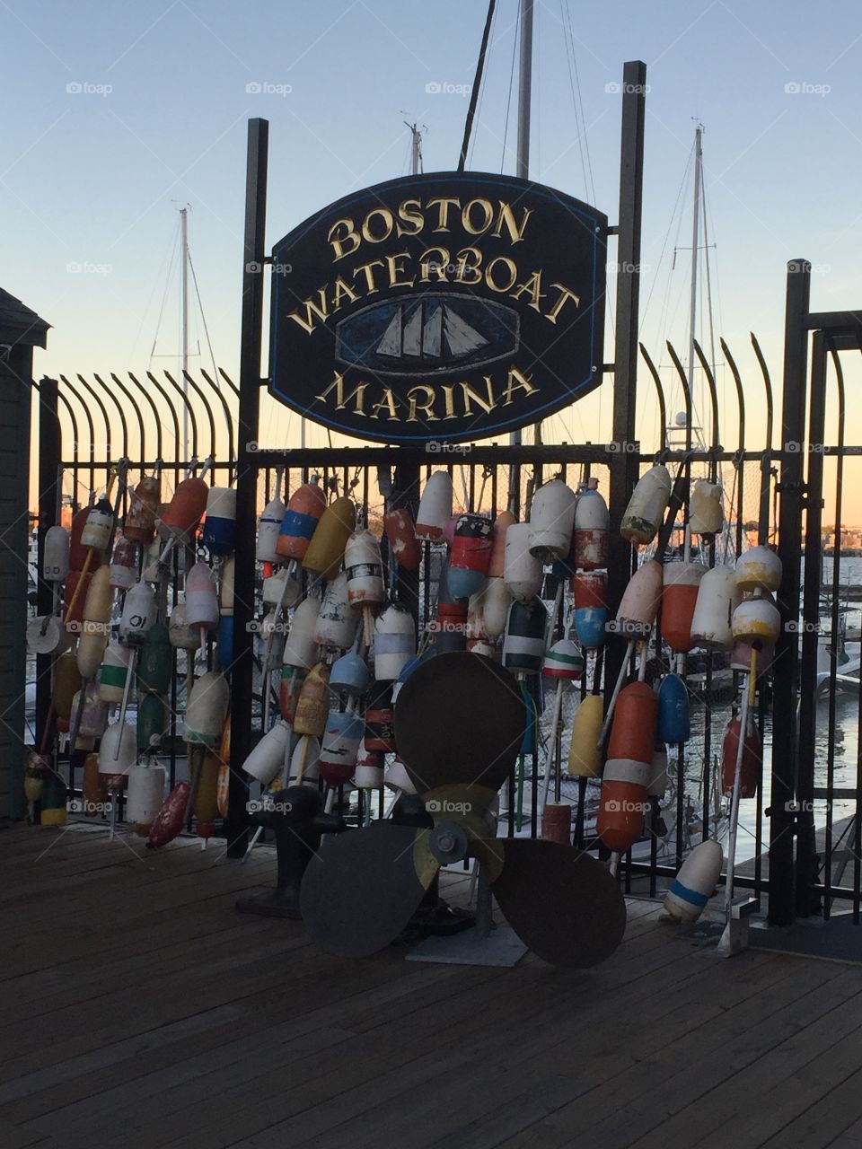 Buoys at the Boston Waterboat Marina