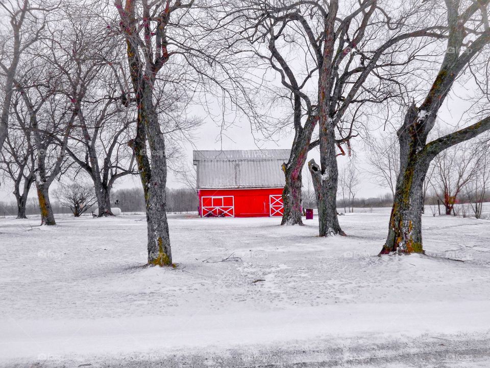 Snow and old red barn. 