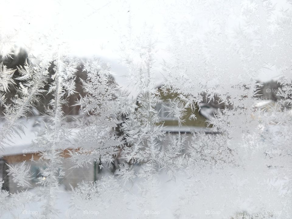 View of the garden houses through the frost-covered window