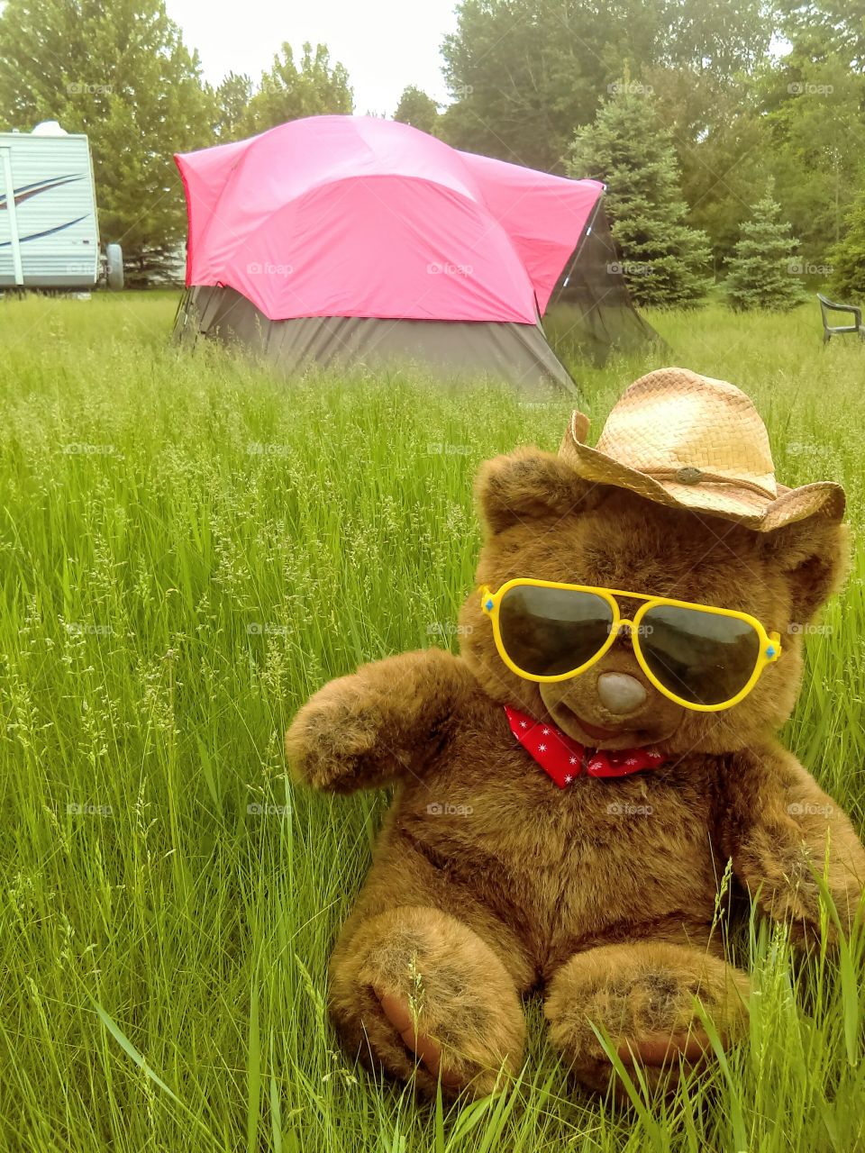 Summer Teddy Bear