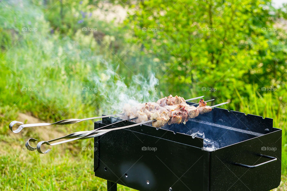 meat raosting in nature