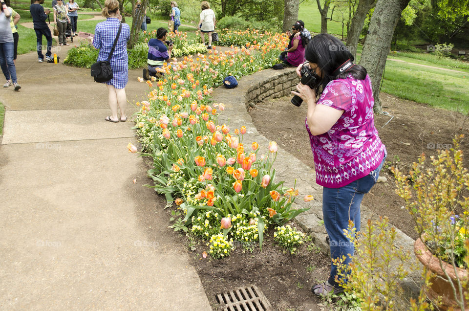 photographer in the garden. many photographers in the garden