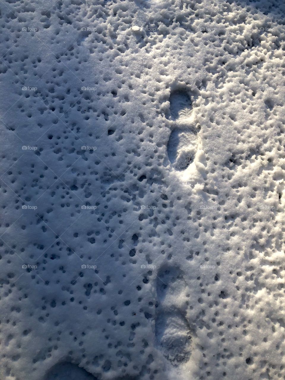 Overhead view of "Footprints and Water Drops" imprinted in the hard, textured snow covering the ground. The melting snow and ice drips from trees onto the ground, making little holes in the snow. 