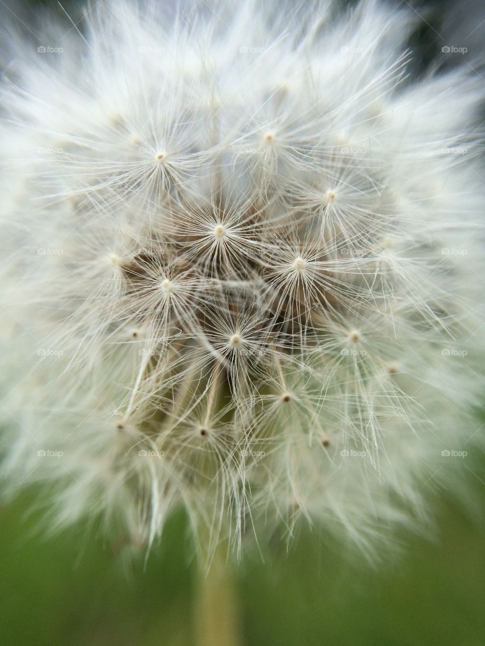 Little Clock. Practising using a micro lens ...