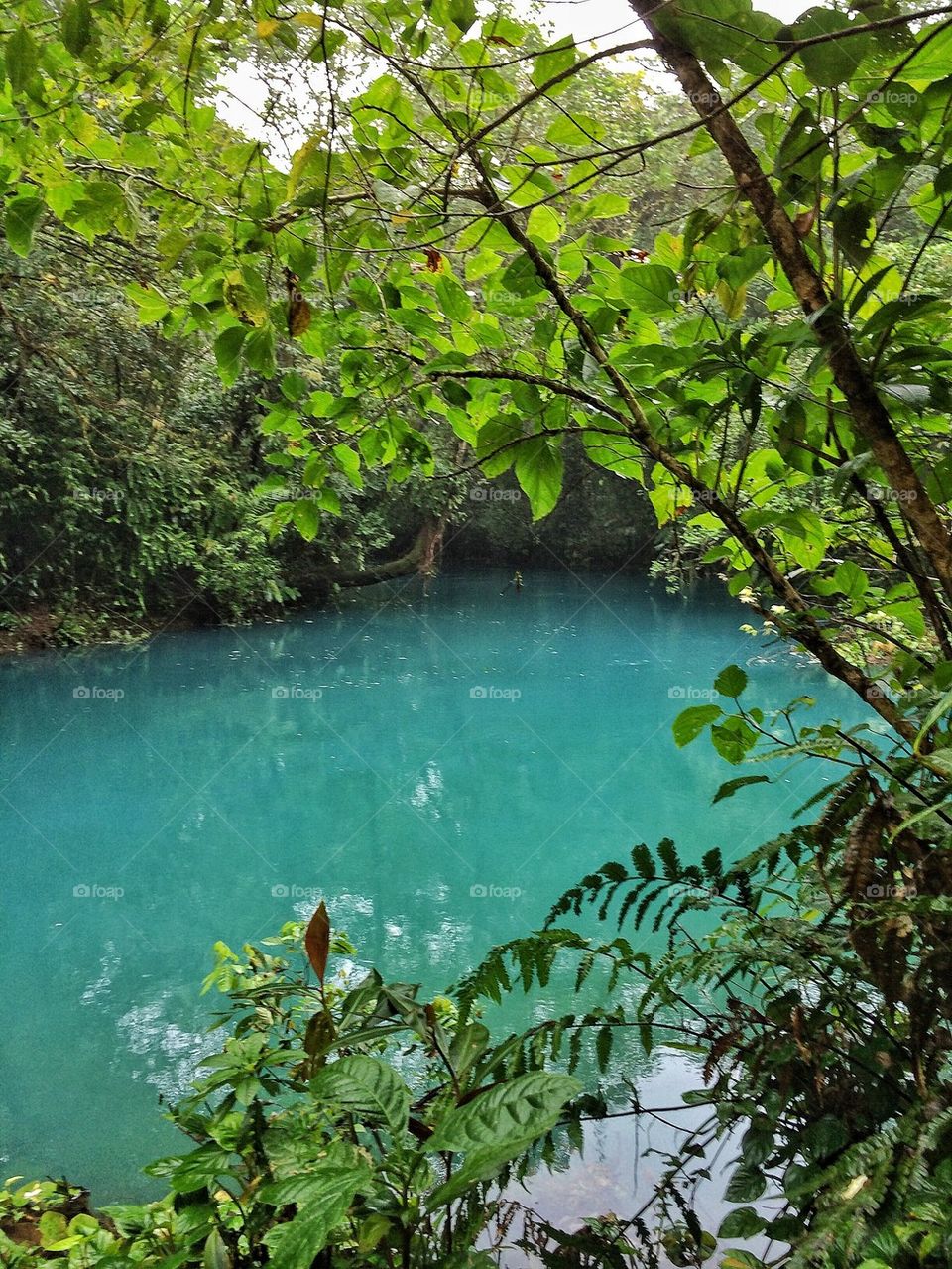 The blue lagoon