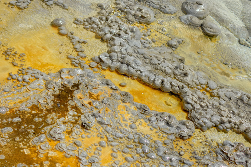 close up by anemone geyser