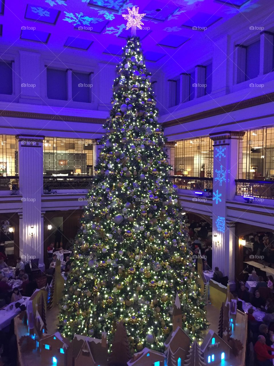 Large indoor Christmas tree. 