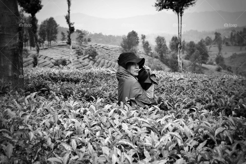 one day in tea plantation