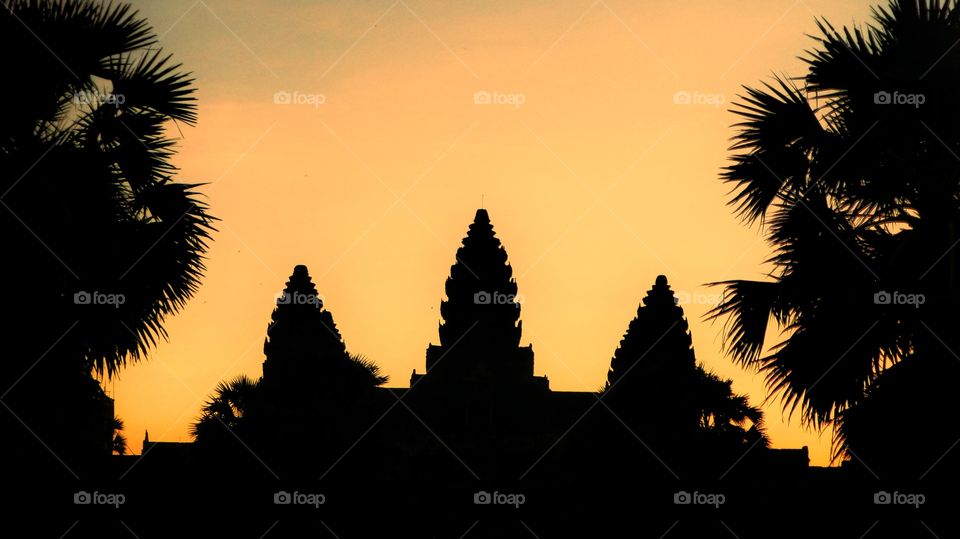 Sunset, Silhouette, No Person, Tree, Palm