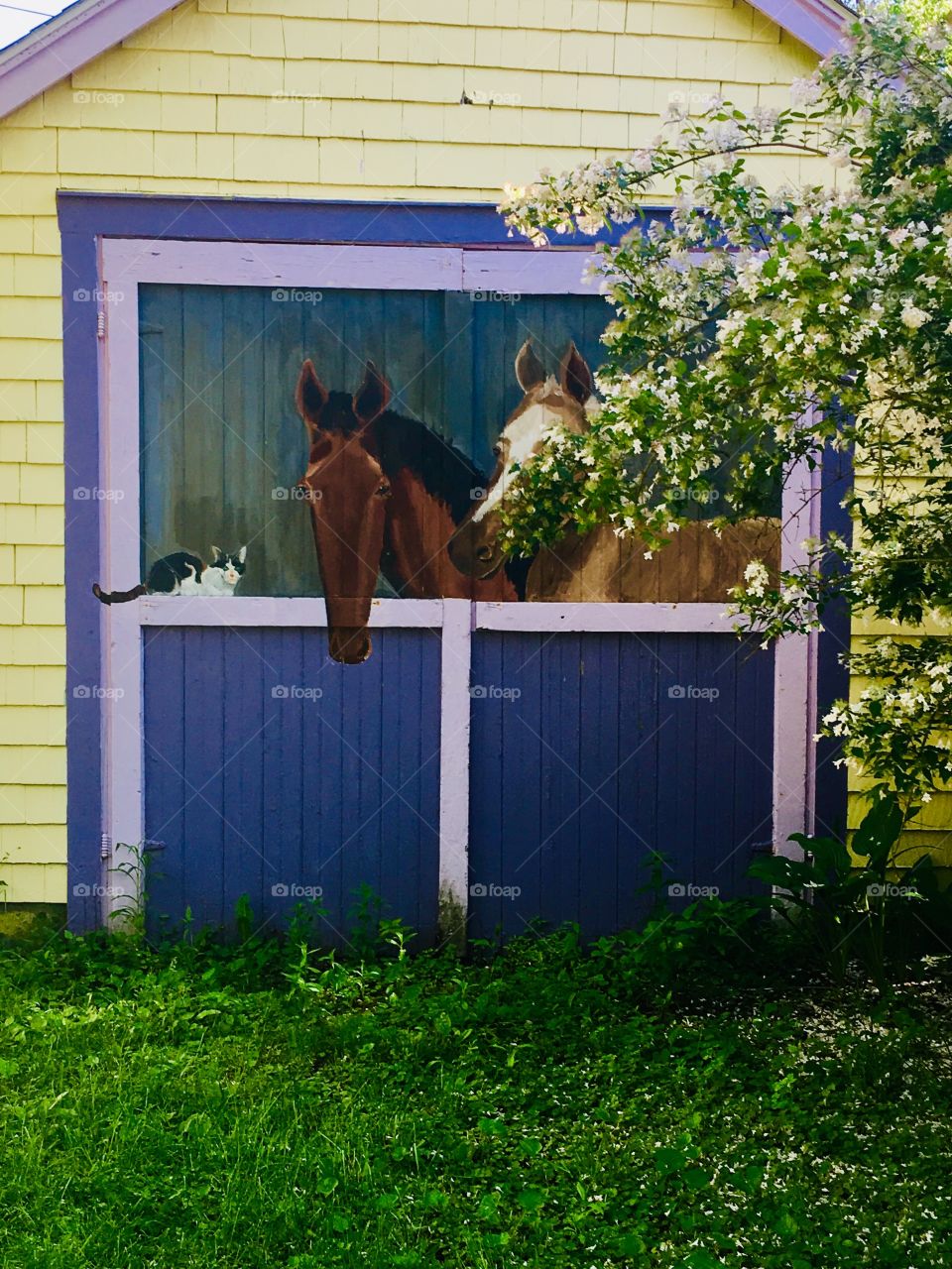 Horse Garage: Who’s Hiding?
