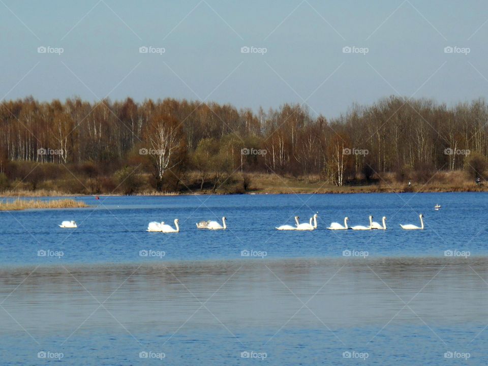 Water, Winter, Lake, Snow, Landscape