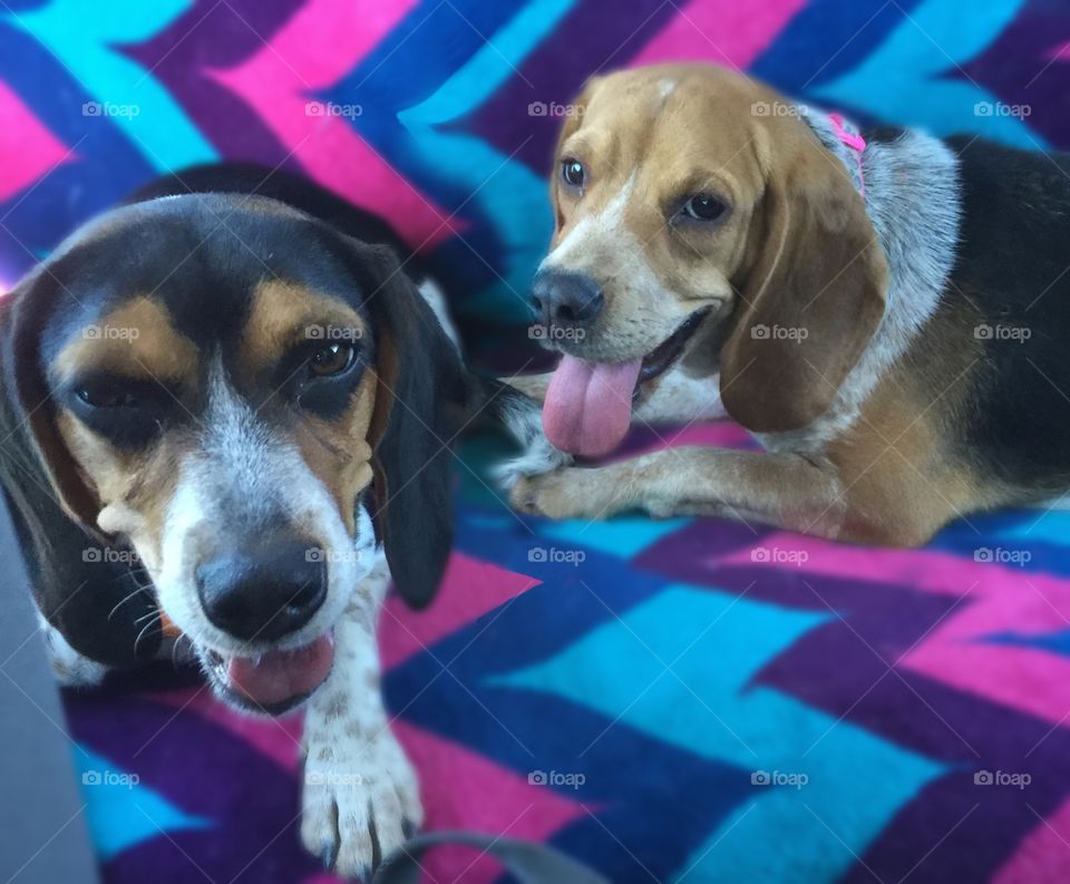 Went on a hike to red rock crayon. 