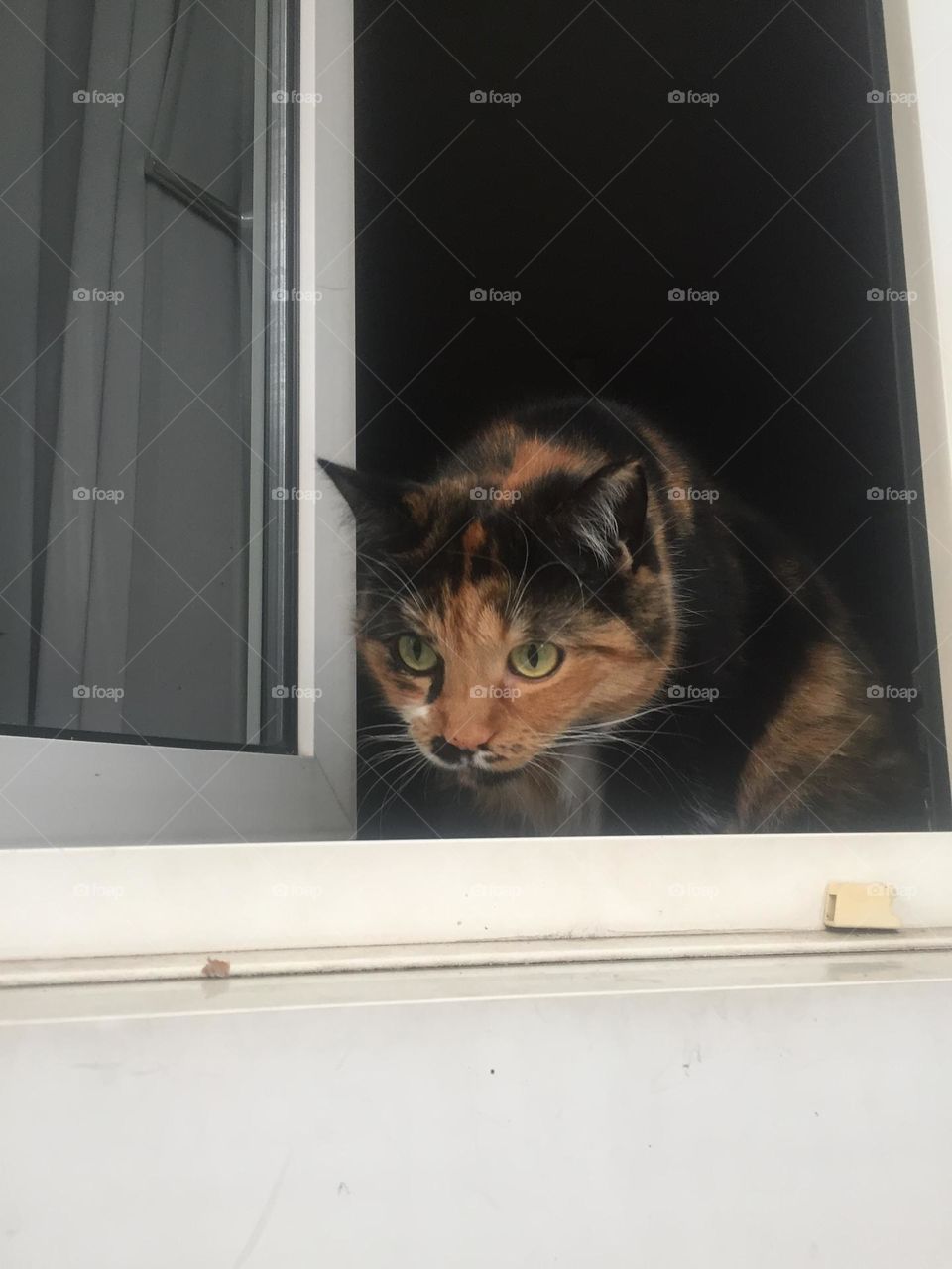 Schau mir in die Augen 