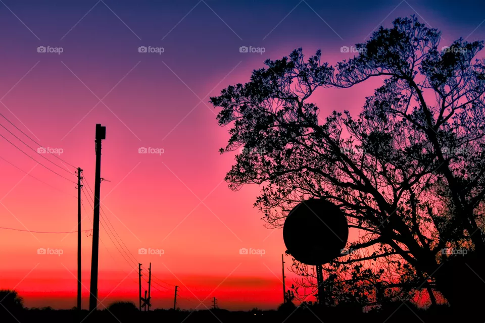 Sunset