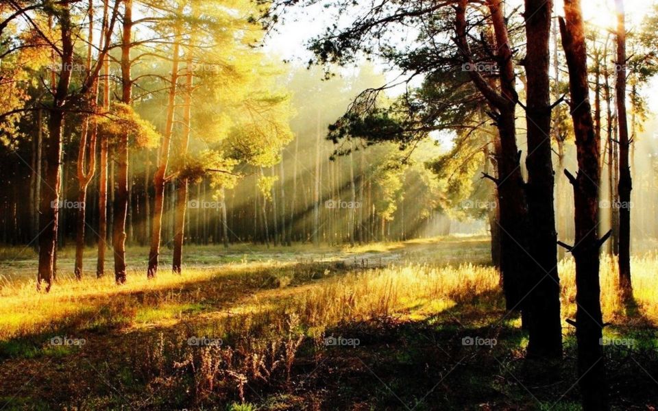 Amazing Autumn Evening