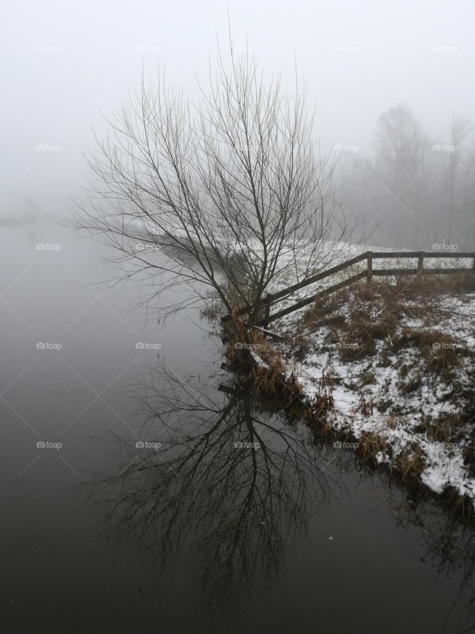foggy river