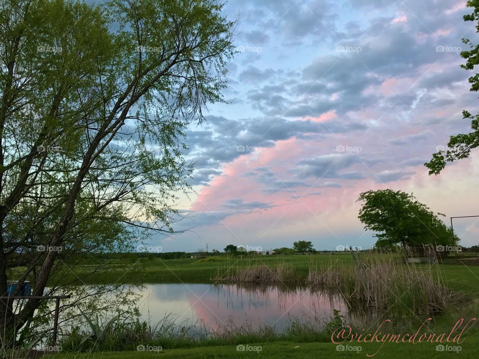 Pink evening clouds 