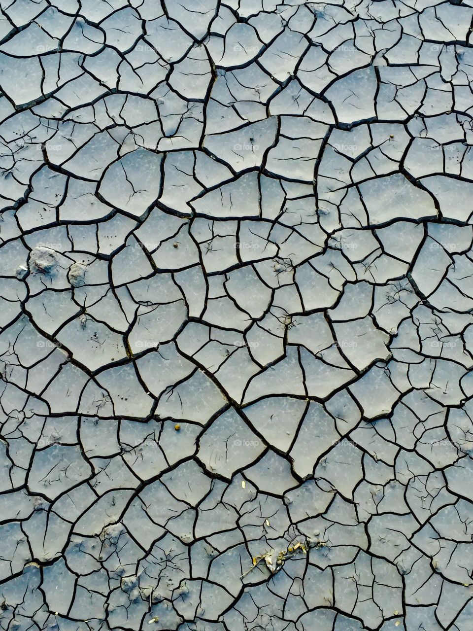 Full frame of cracked floor