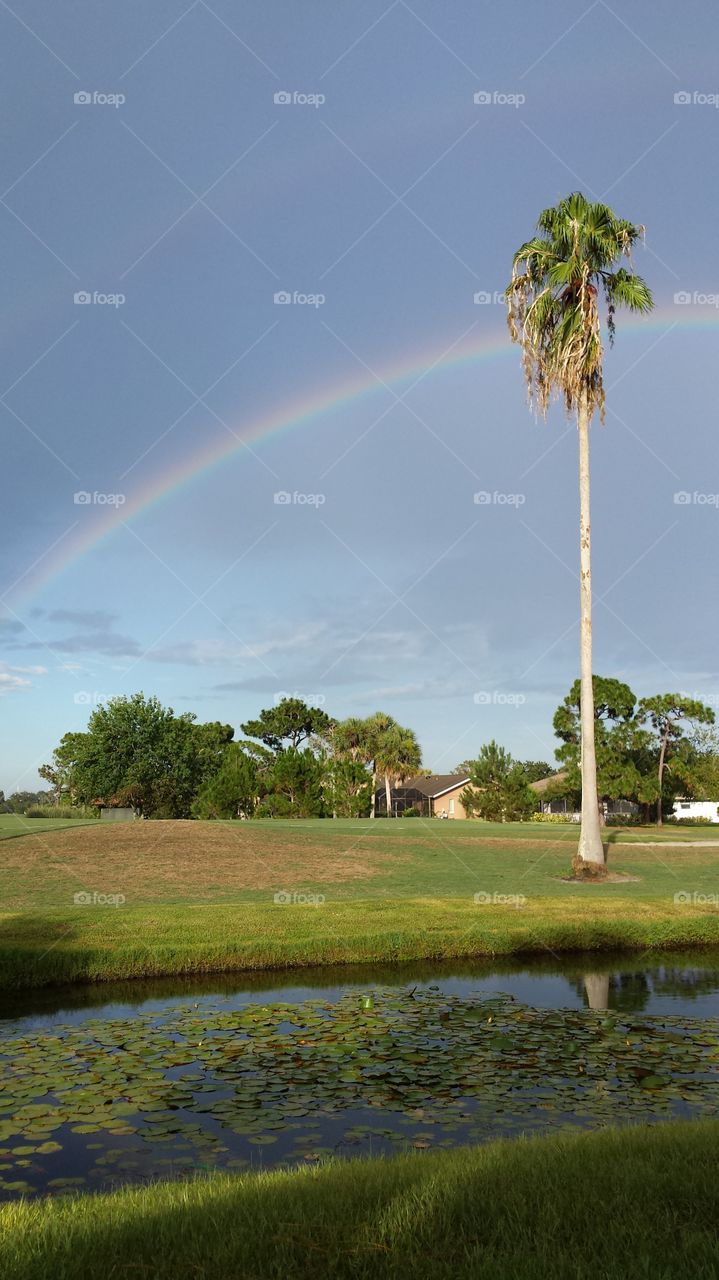 Double Rainbow. after a heavy July rain