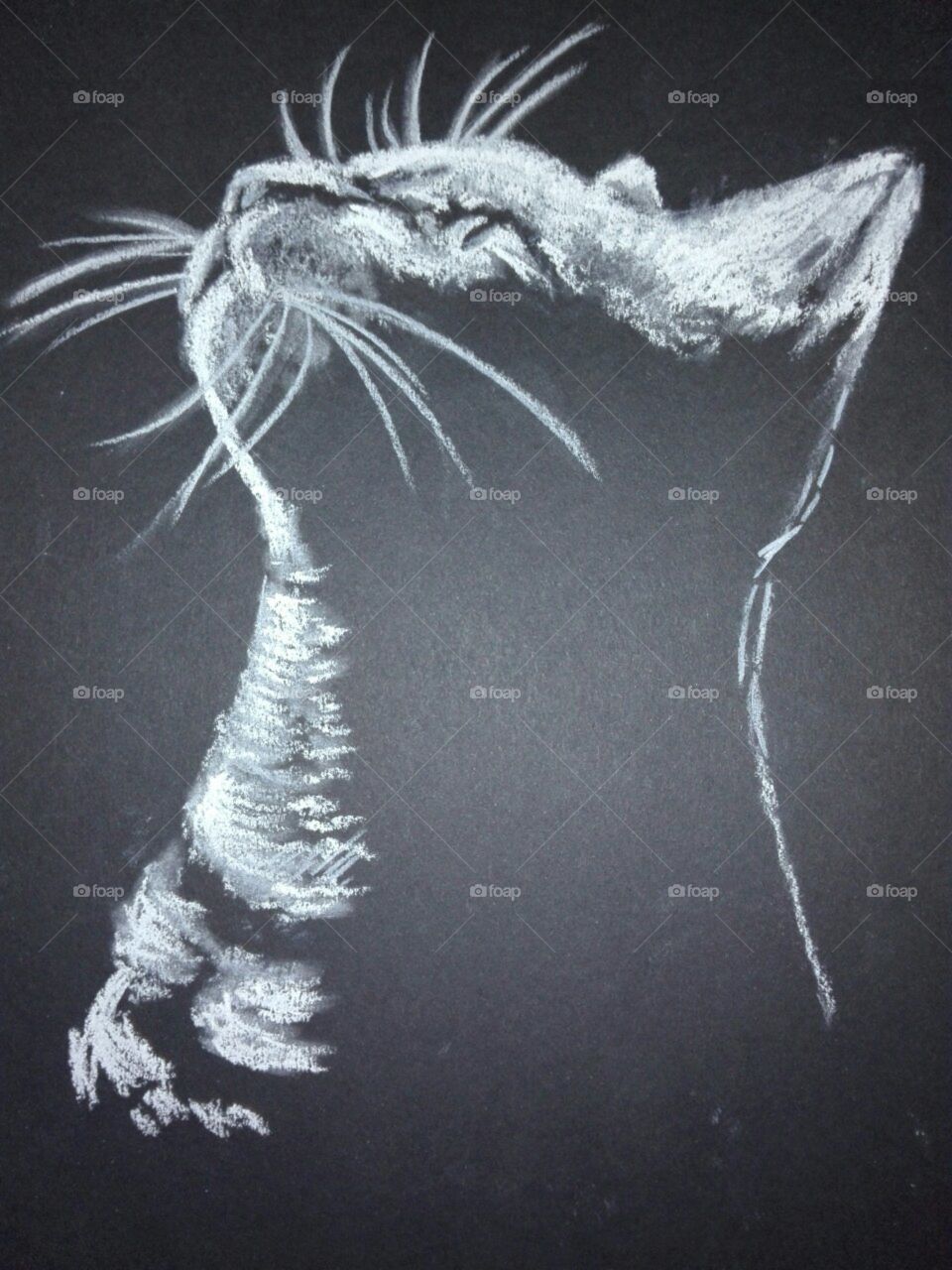 cat engraving on glass, drawing