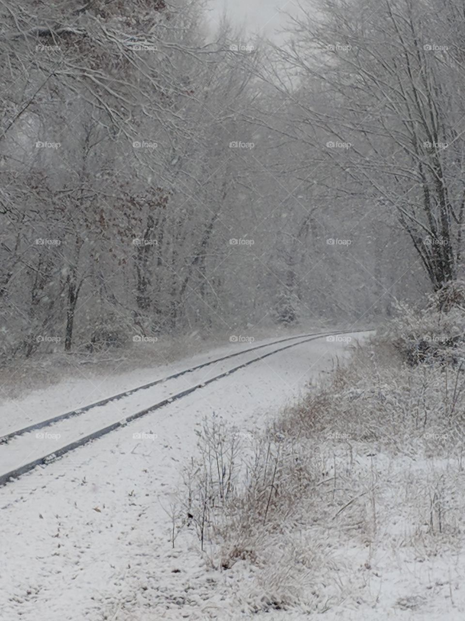 Michigan winter