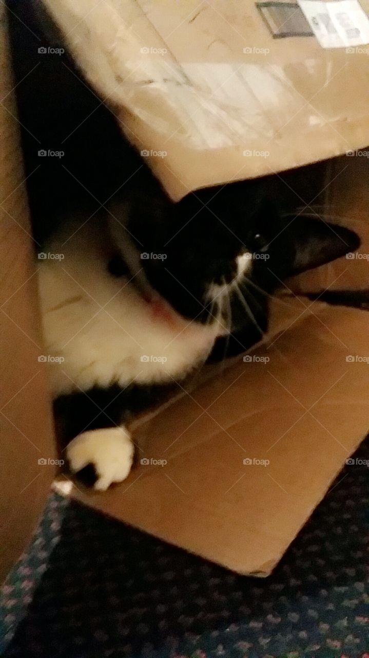 This box is good to play in