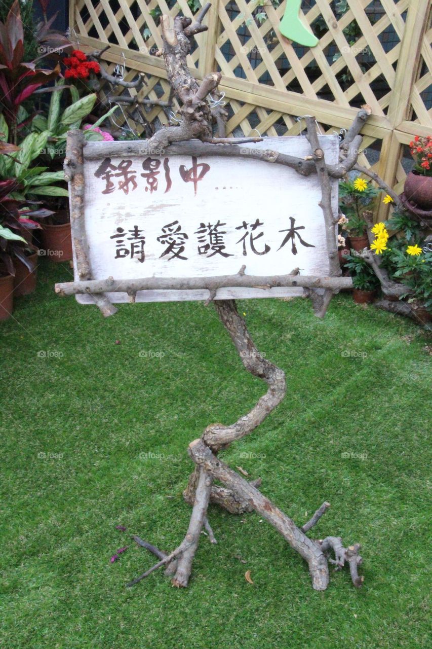 In the video, please love the flowers and trees