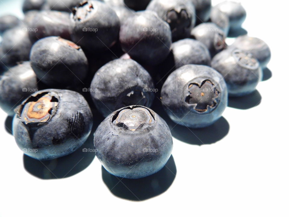 blueberry fruit