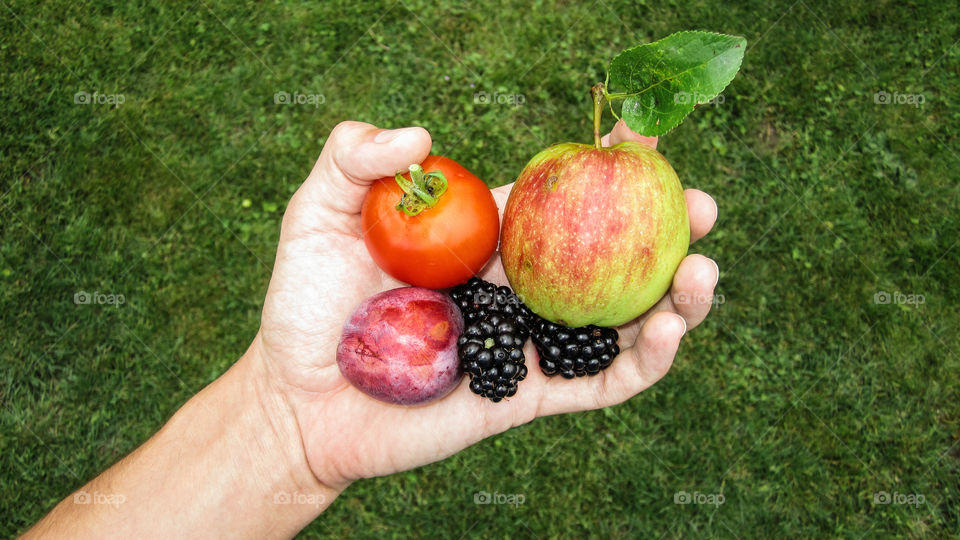 Handful of fruits outdoors